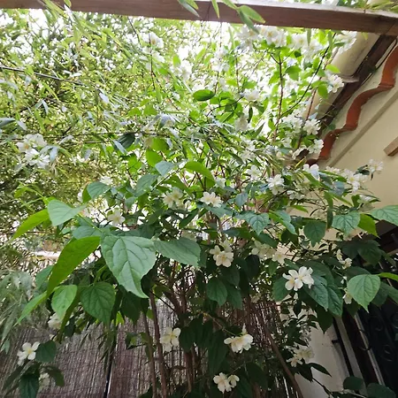 La Tiny House Yourhosthelper Narbona